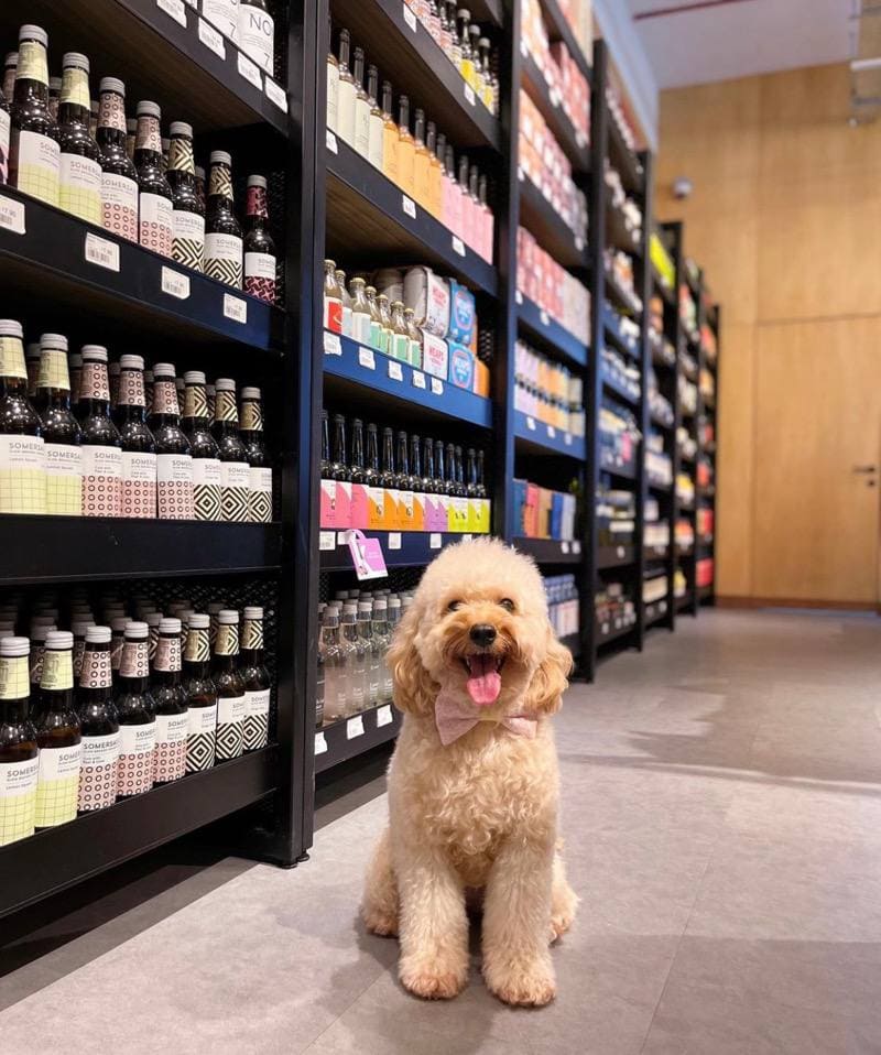 Surrey Hills Grocer Jurong Pet-friendly