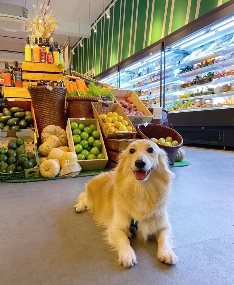 Surrey Hills Grocer Jurong Pet-friendly