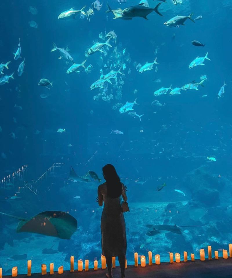 things to do in sentosa