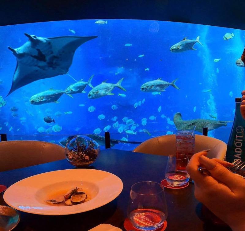 things to do in sentosa