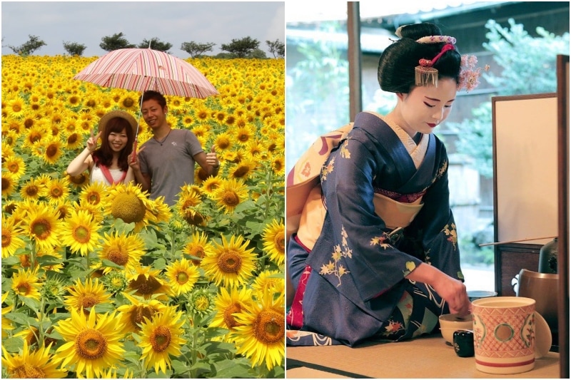 free travel in japan