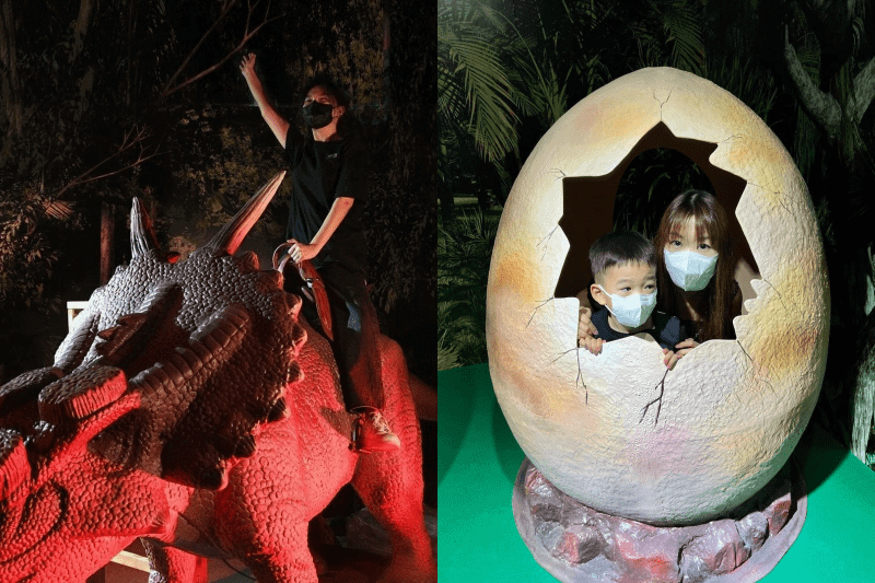 family activities in Singapore