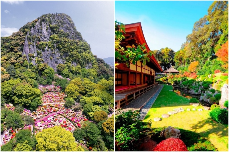 free travel in japan