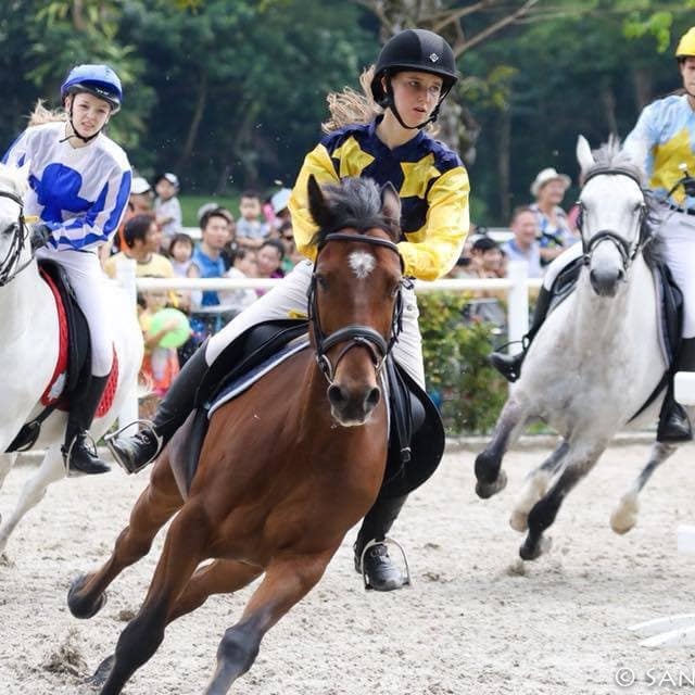 bukit timah saddle club