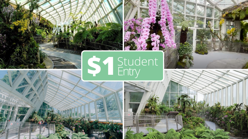 student deals in singapore