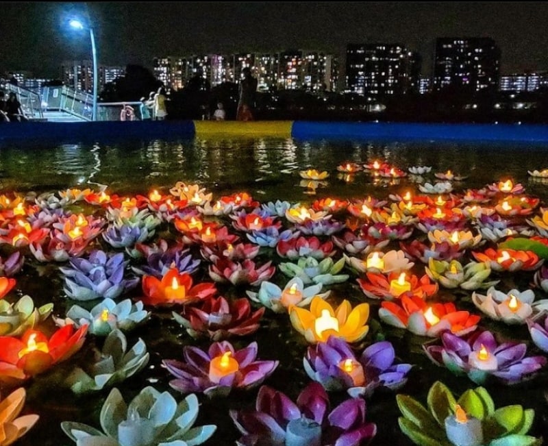 Lights by the Lake 2022