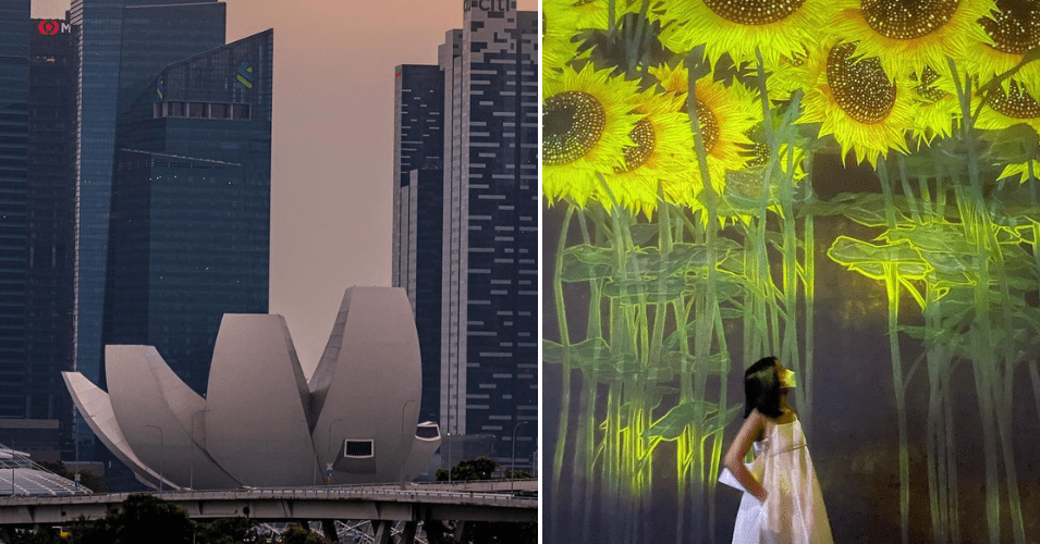 artscience museum museums in singapore