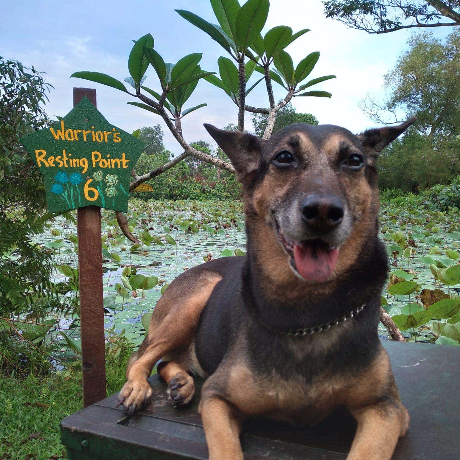 family activities in Singapore