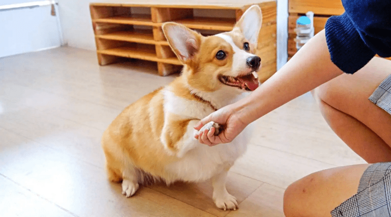 family activities in Singapore