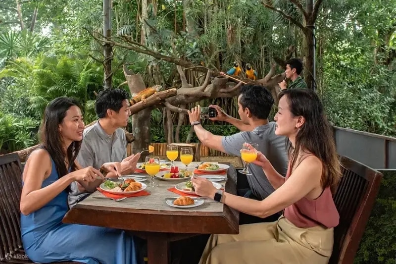 breakfast in the wild