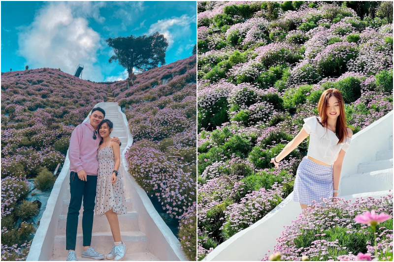 cameron highlands flora park