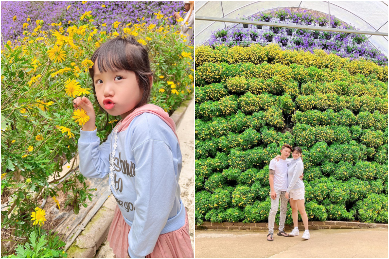 cameron highlands flora park