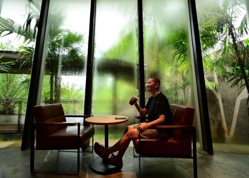 starbucks mandai river safari