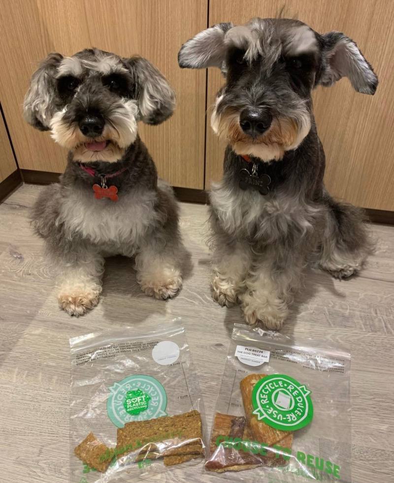 dog treat bar singapore