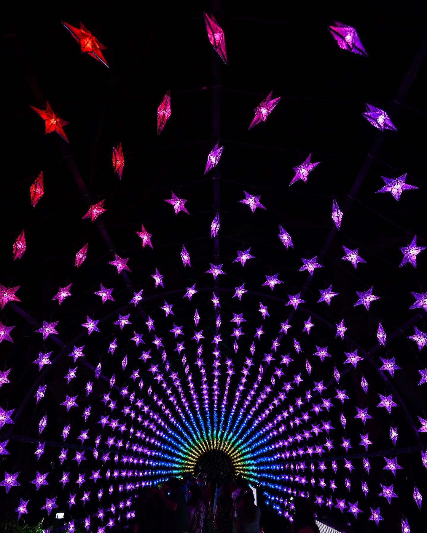 Christmas Wonderland