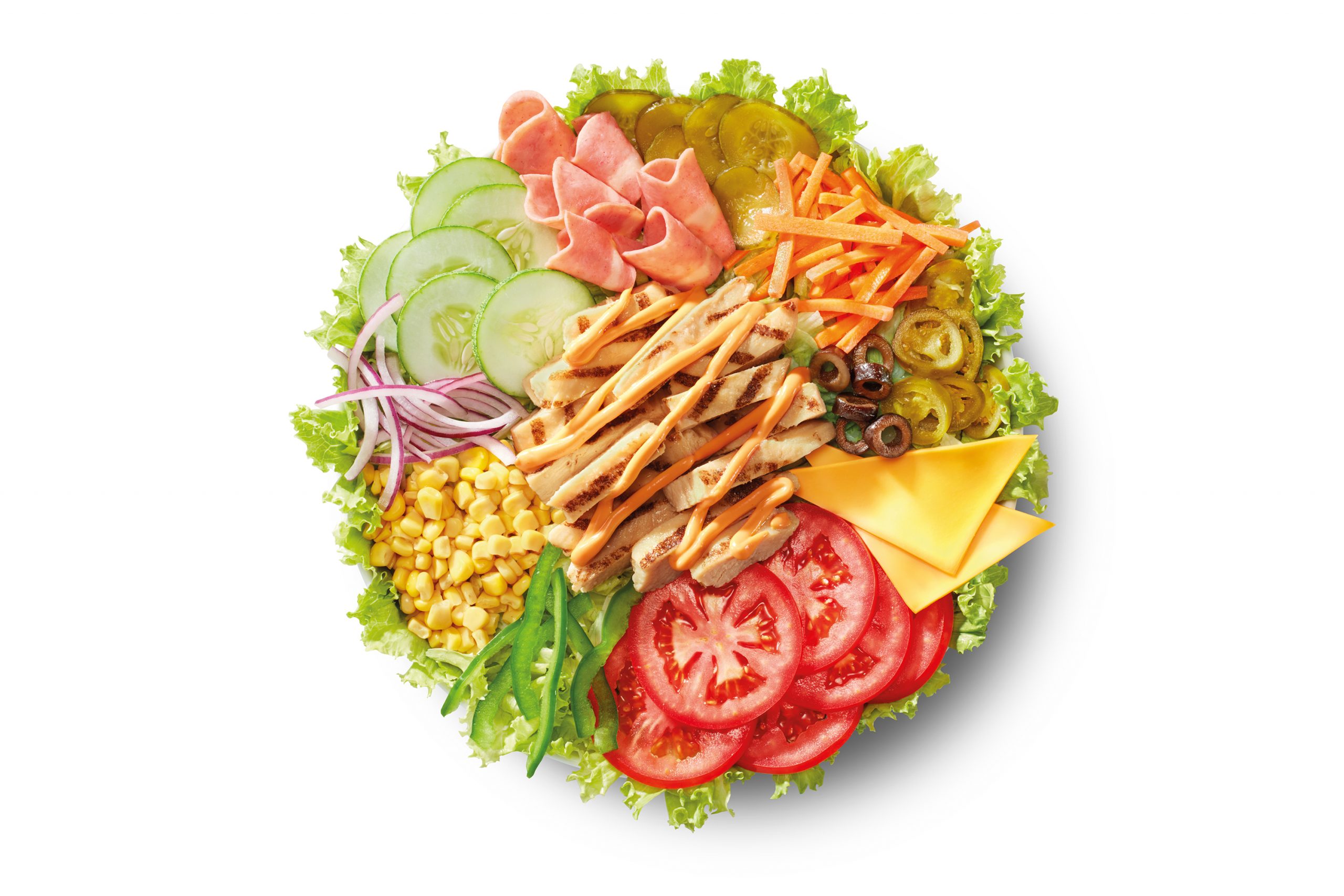 mint chocolate chip cookie