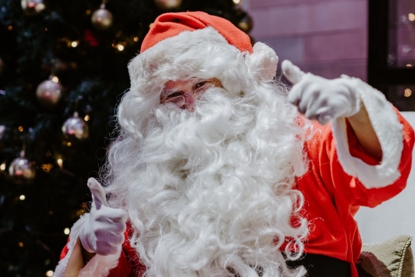 christmas wonderland 2022