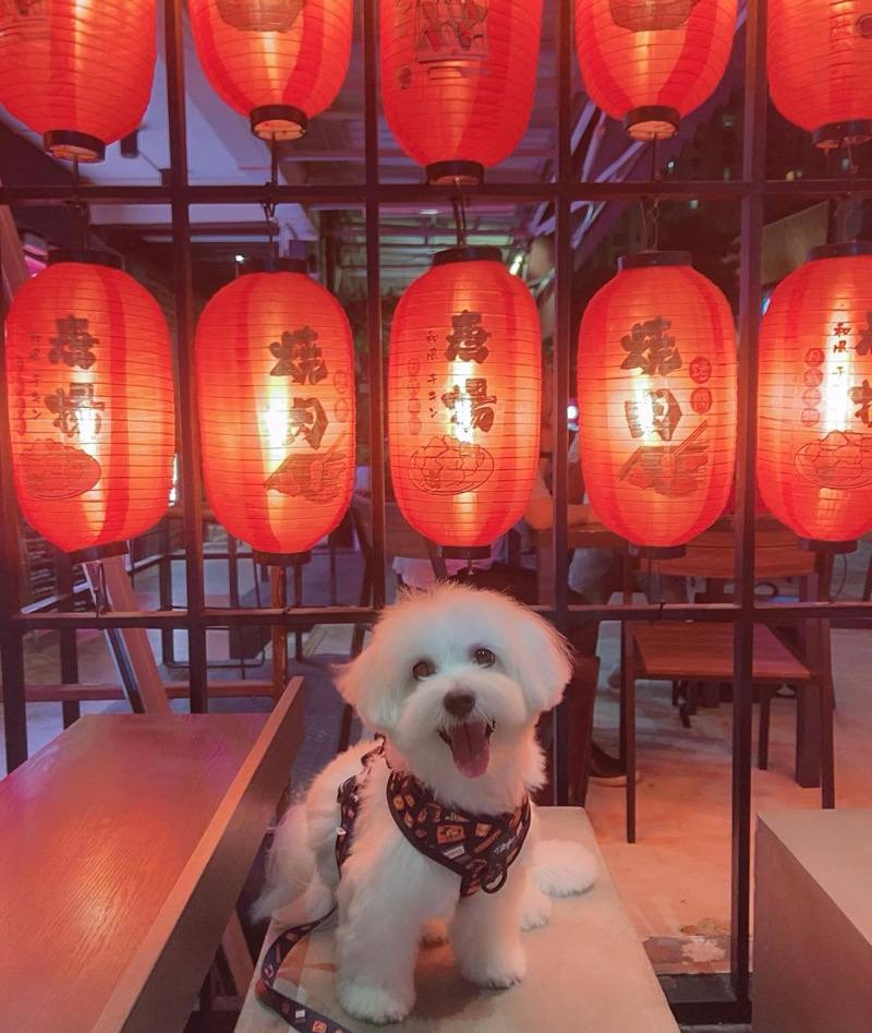 yujin izakaya singapore