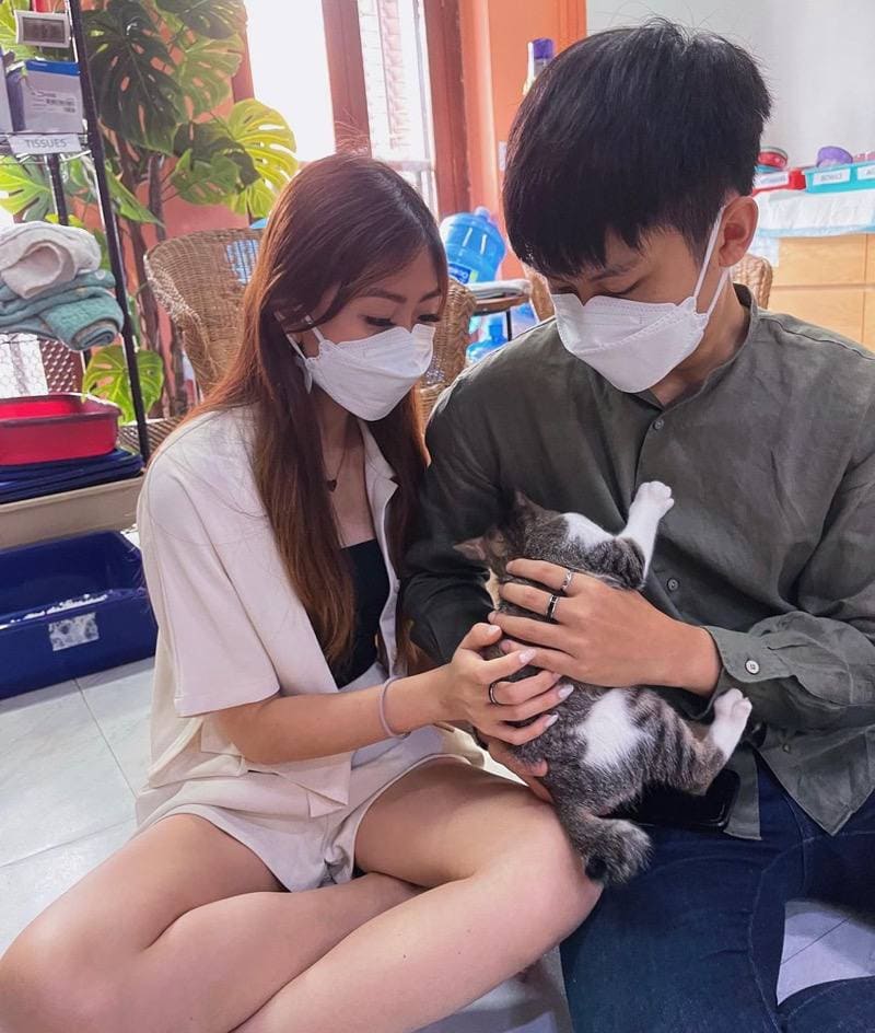 kitten sanctuary singapore