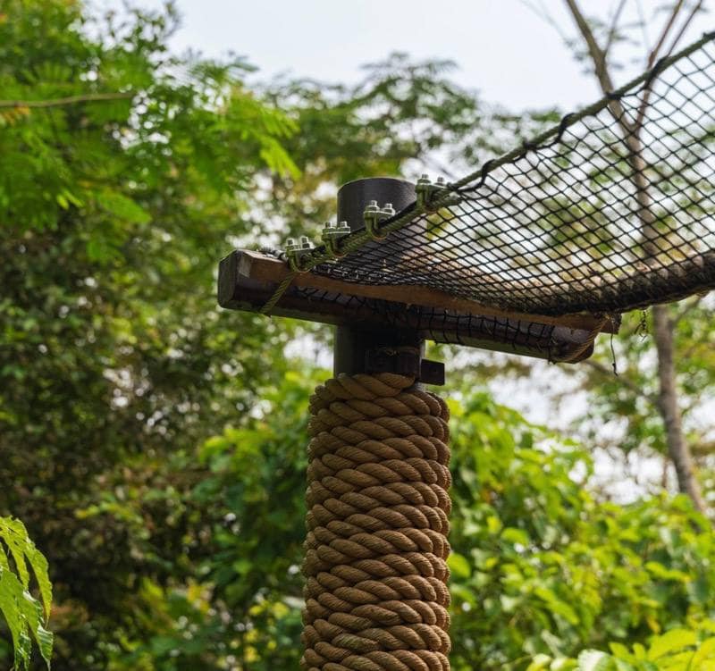rifle range nature park bukit timah singapore new