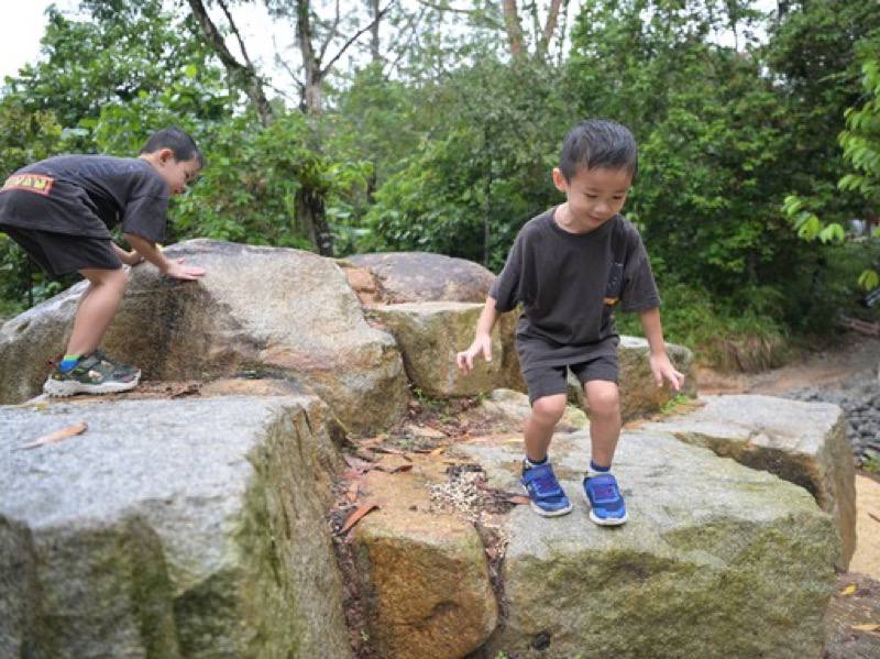 rifle range nature park bukit timah singapore new