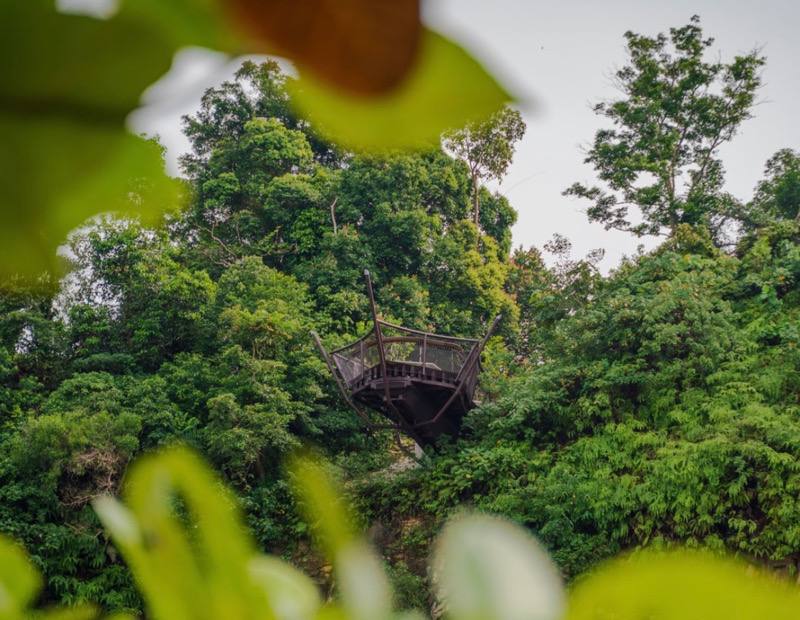 rifle range nature park bukit timah singapore new