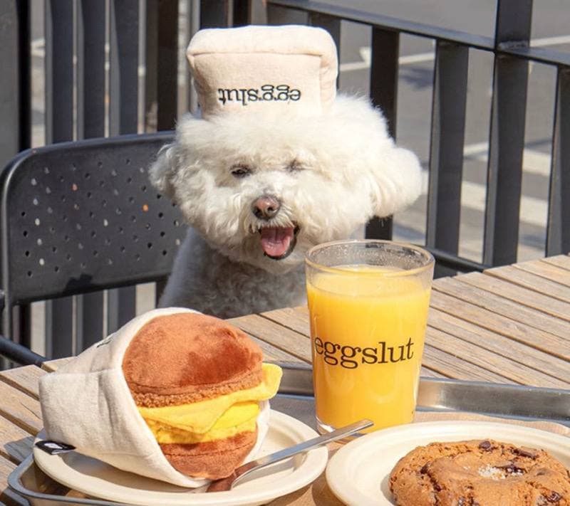 dear fluffy korean pet store singapore