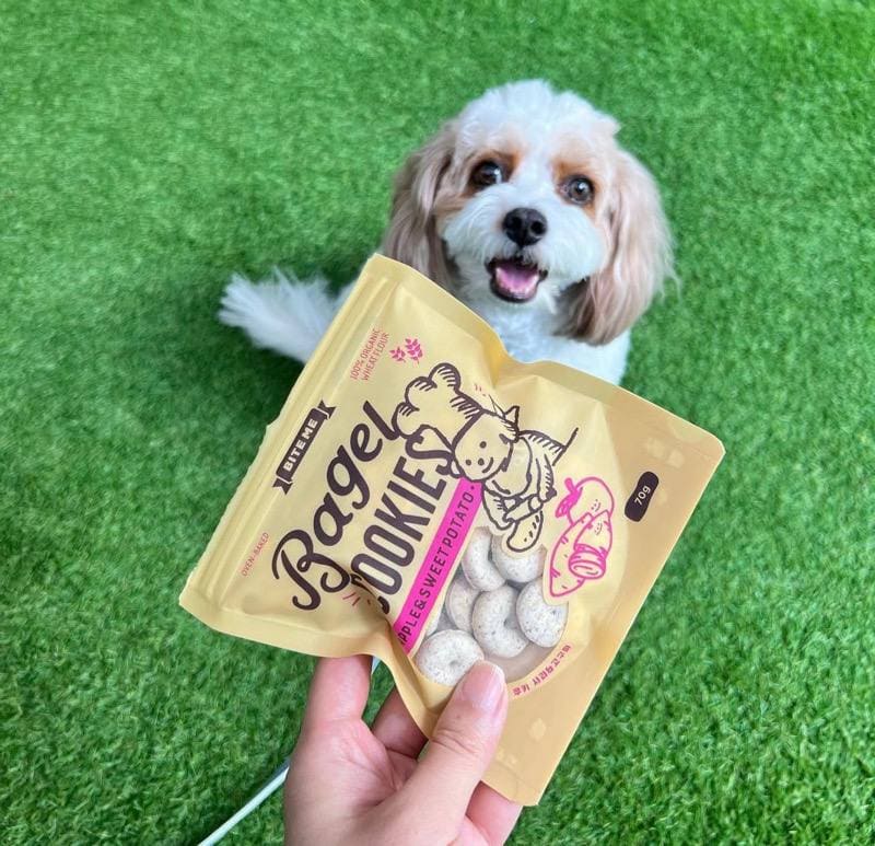 dear fluffy korean pet store singapore