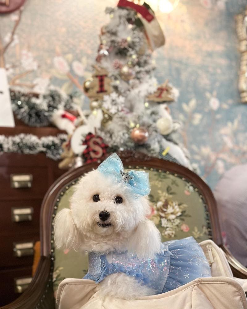 A Beautiful Day Café Tearoom