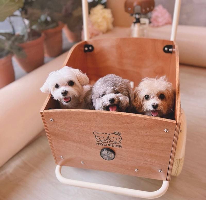 cafe treatos pet friendly cafe bugis