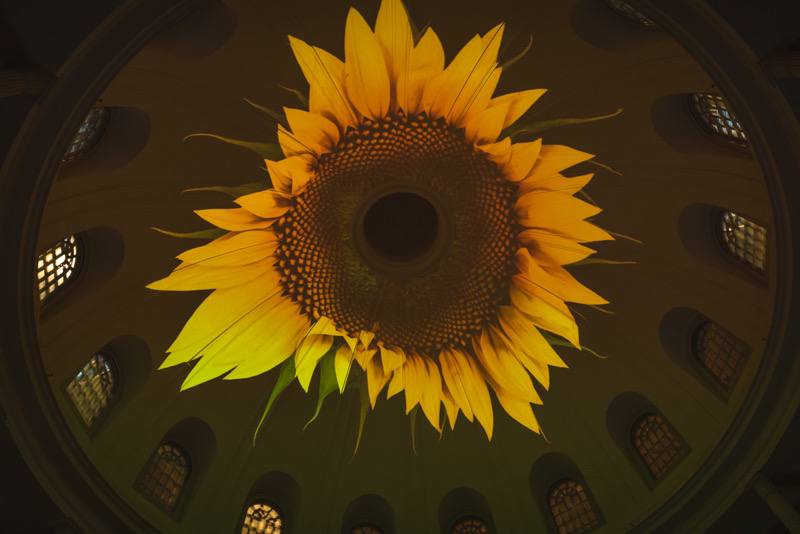 light to night festival 2023 singapore