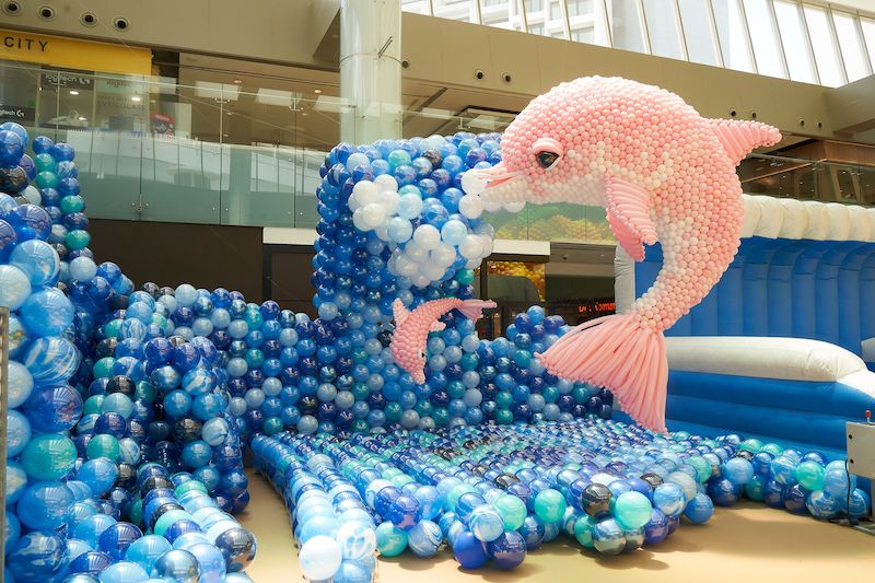 Surf's Up in Paradise