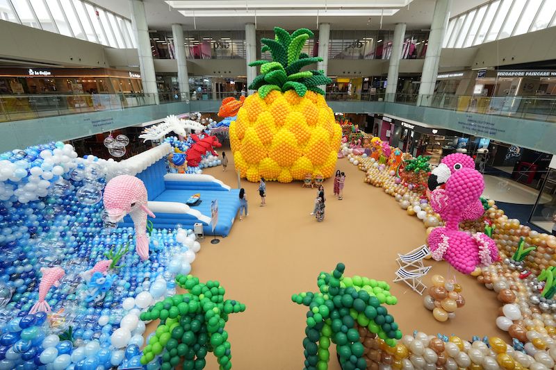 Surf's Up in Paradise