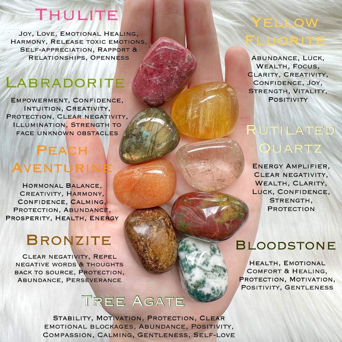 The Locale Collective