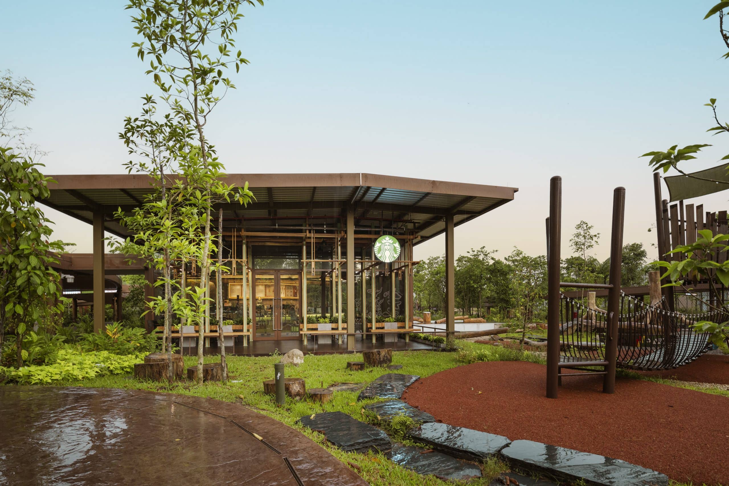 Starbucks Bird Paradise