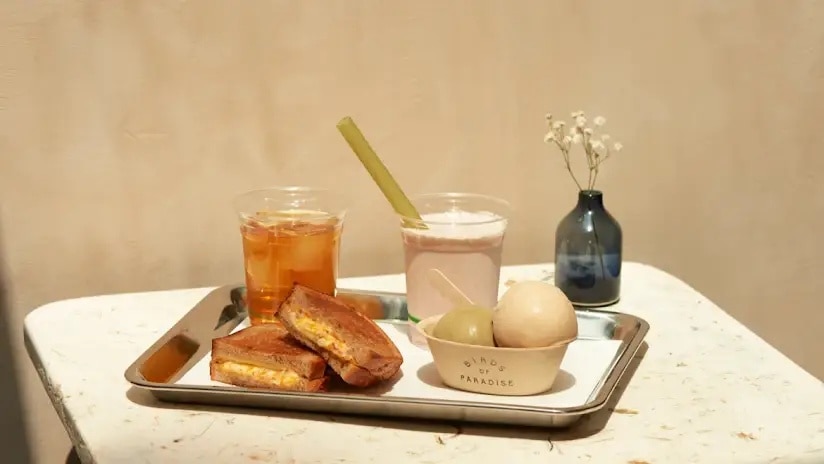 birds of paradise mandai