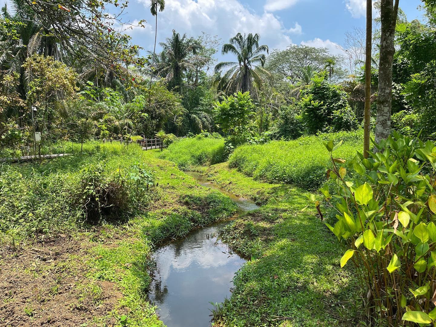 beginner-friendly hiking trails