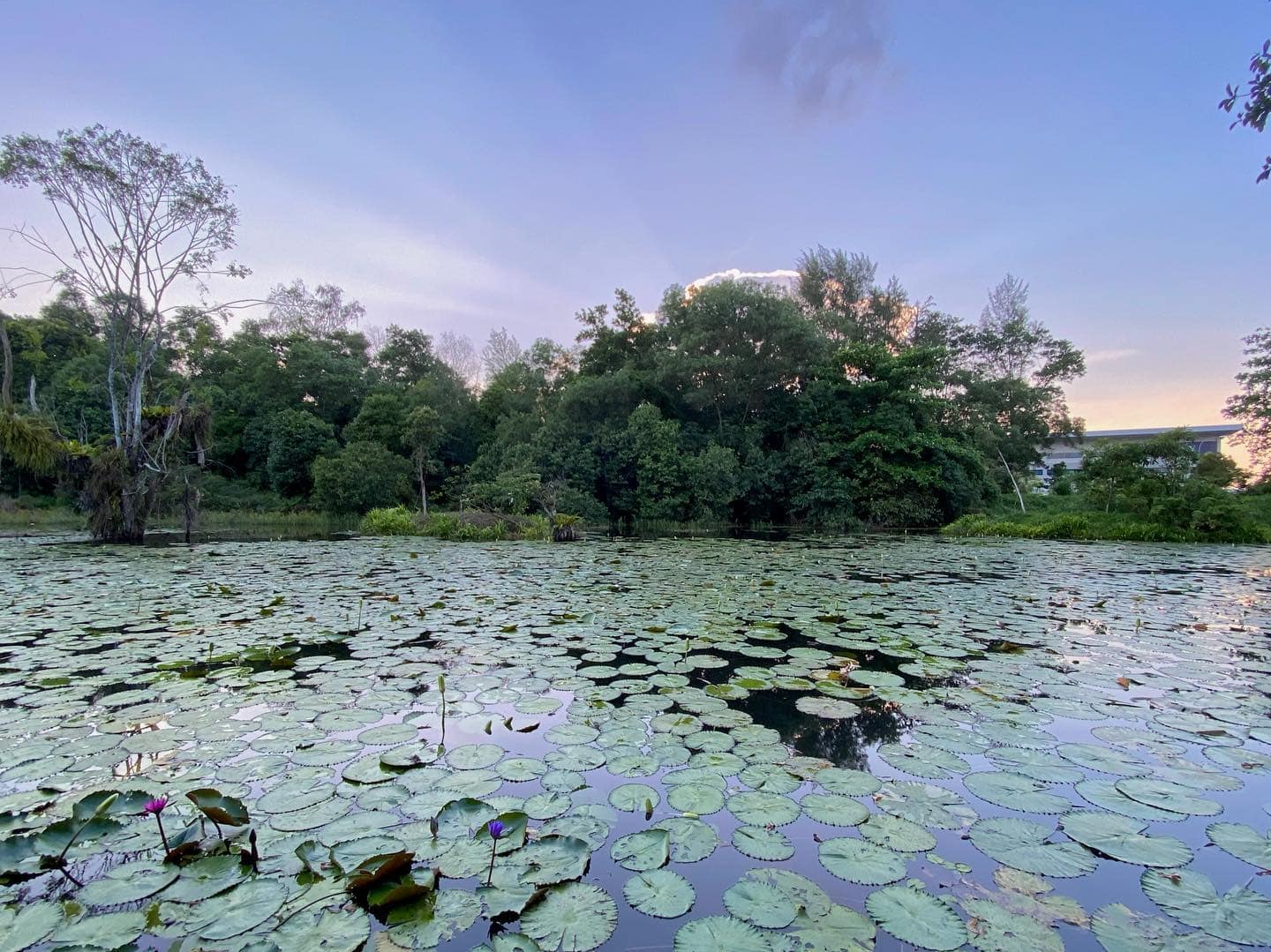 beginner-friendly hiking trails