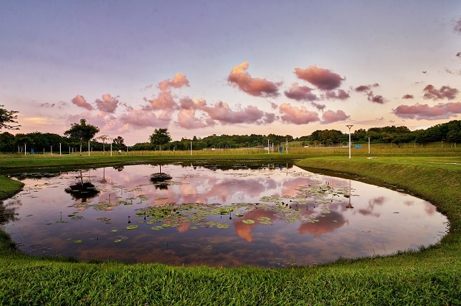 beginner-friendly hiking trails