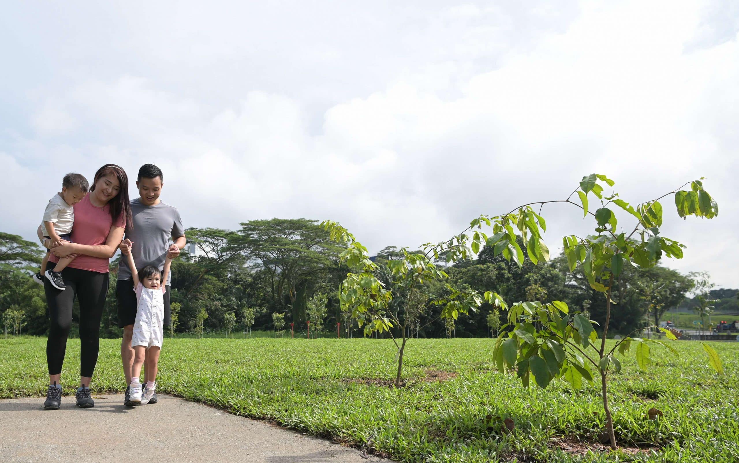 beginner-friendly hiking trails