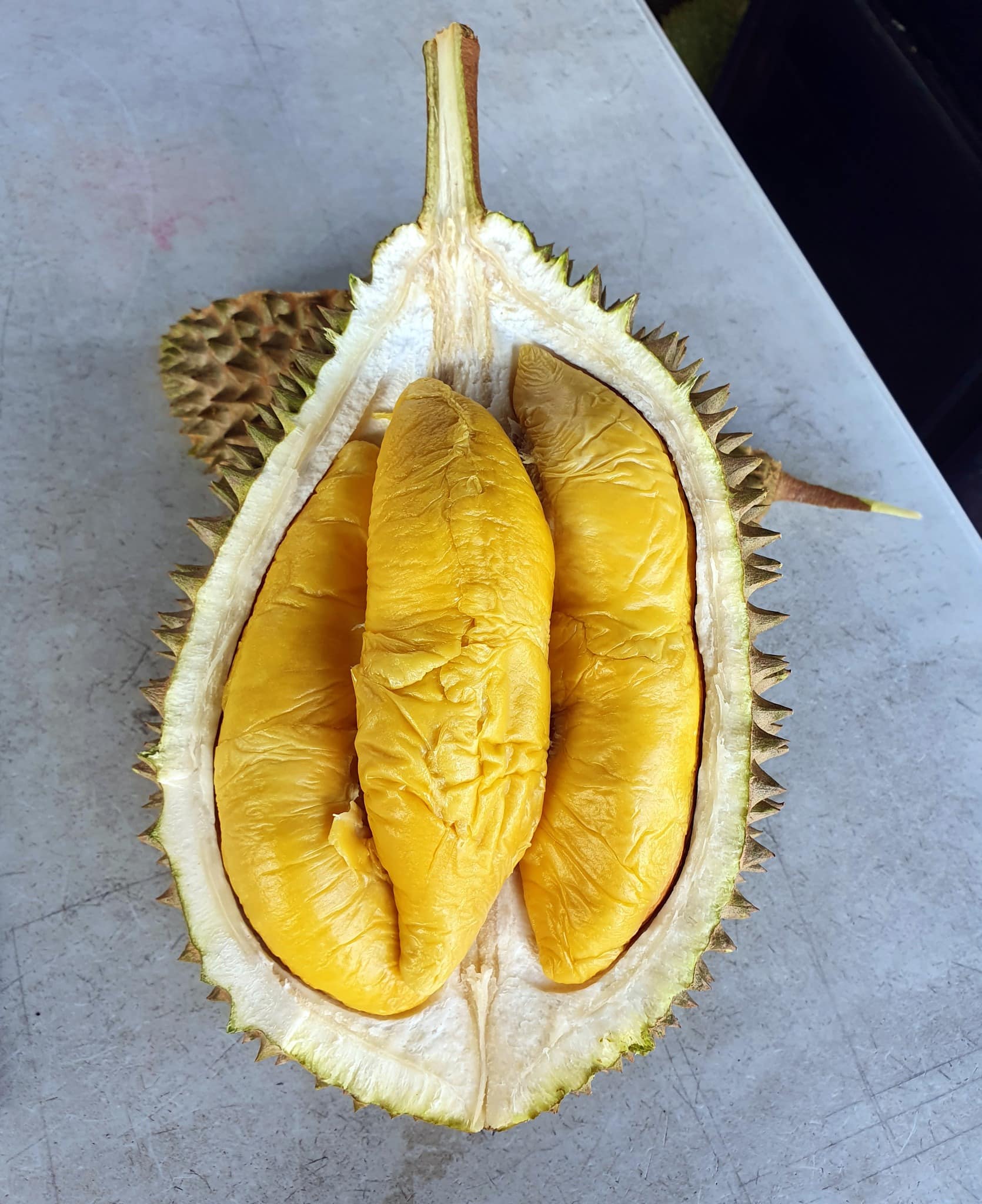durians