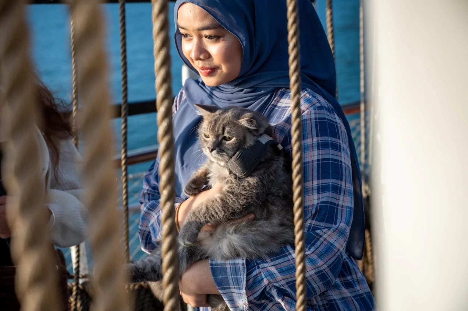 Royal Albatross Cat Cruise