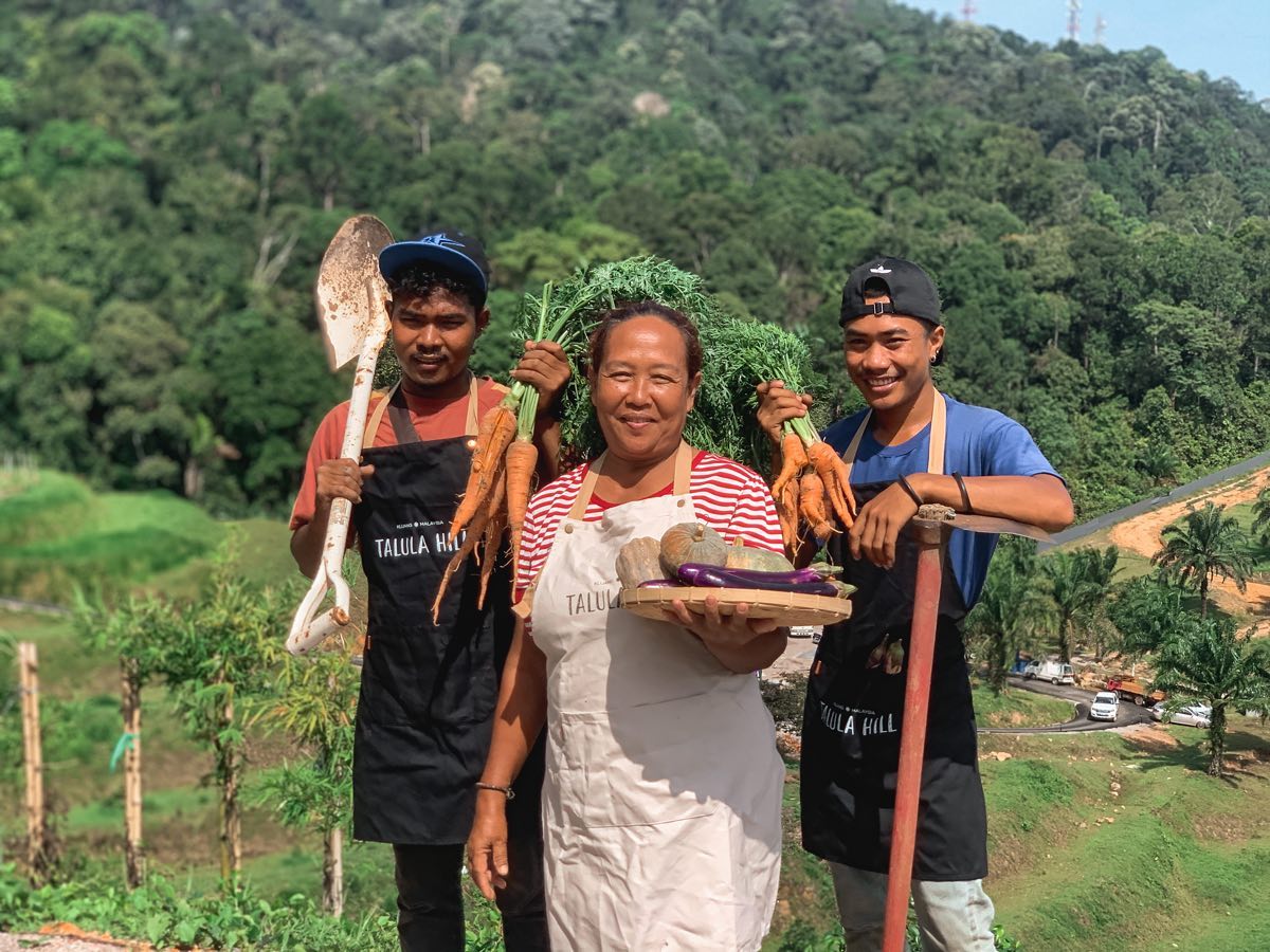 Talula Hill Farm Resort