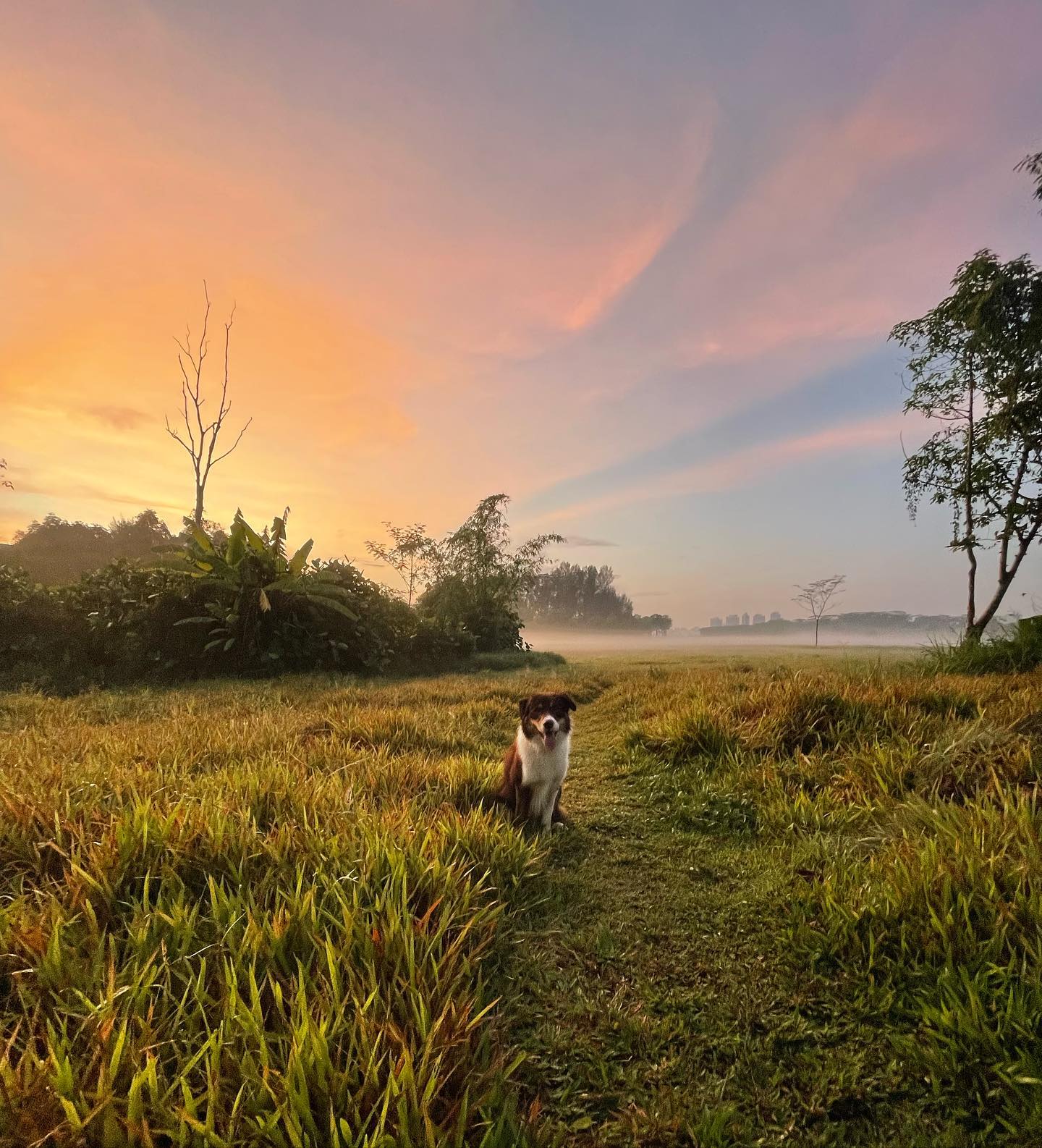 sunset spots singapore