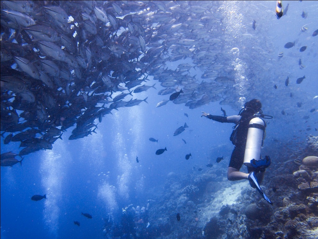 mataking reef resort malaysia