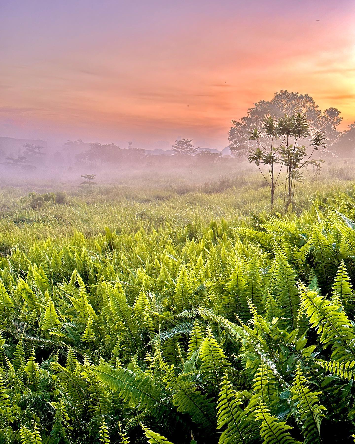 sunset spots singapore