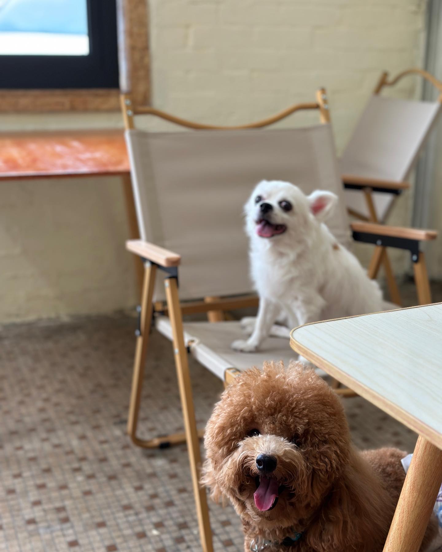 tian ban desserts bistro