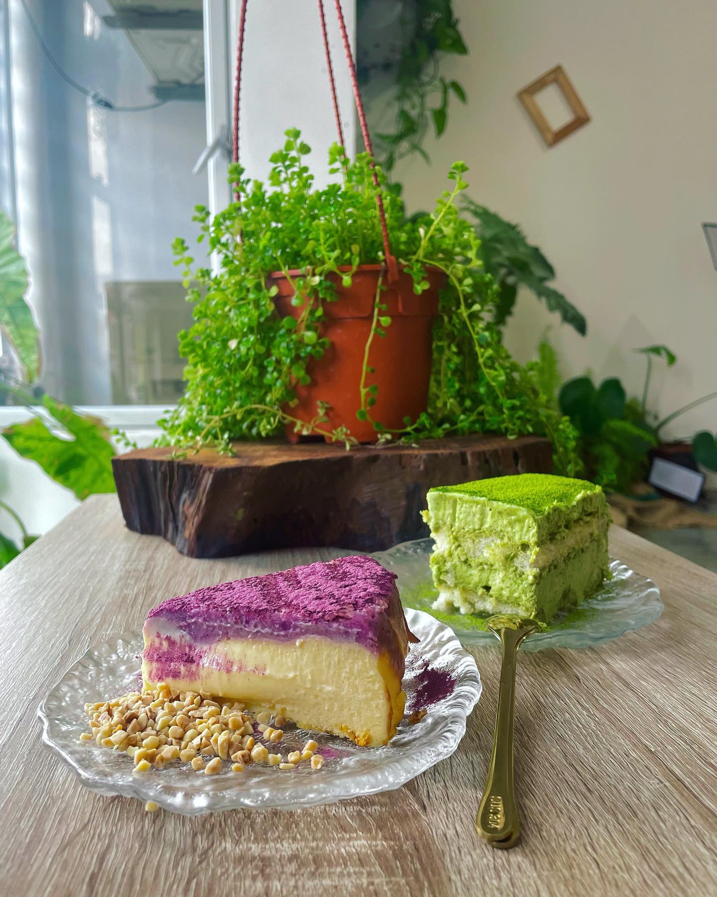 The Blue Door Coffee House