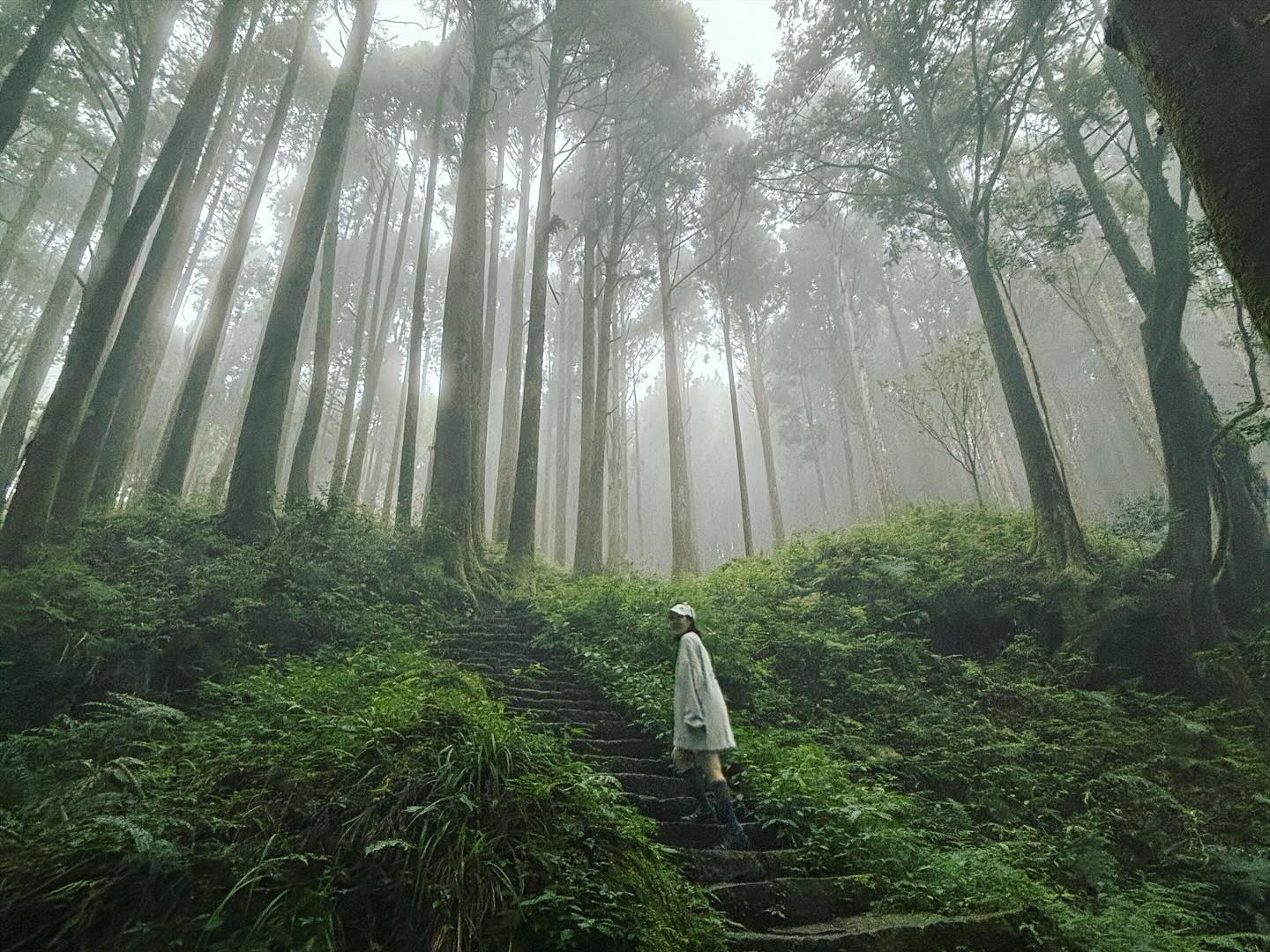 Alishan Forest Railway