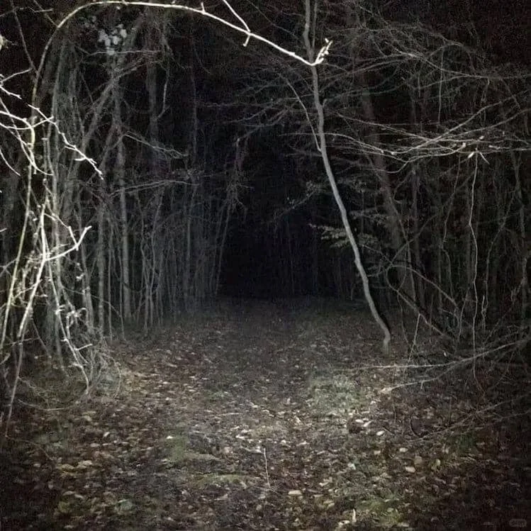 The Most Horror Night